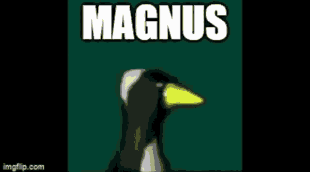 Magnus Bird GIF