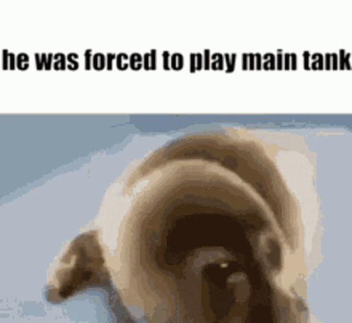 Main Tank Overwatch GIF