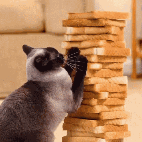 Making That Bread GIF