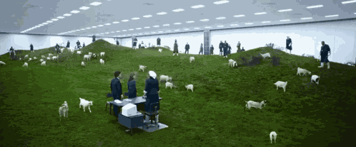 Mammalian Nurturability Severance Baby Goats GIF