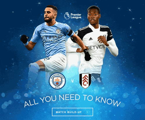 Man City Fulham GIF