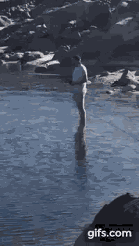 Man Fishing GIF