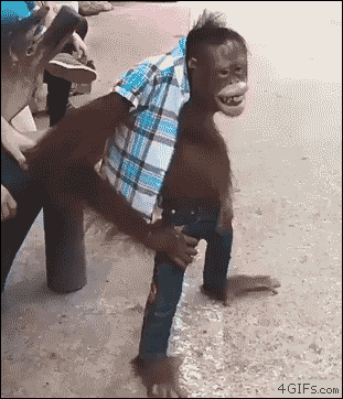Man What GIF