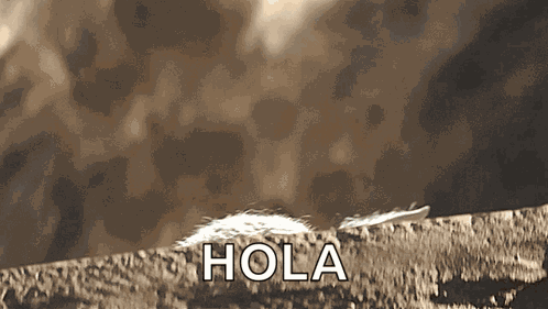Mandalorian Baby Yoda GIF