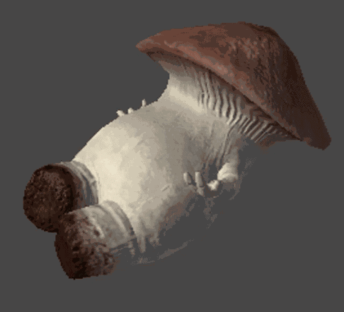 Mantar Adam Düşme Animasyonu Mushroom GIF