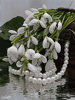 March Flowers GIF