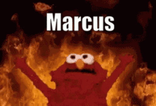 Marcus Elmo GIF