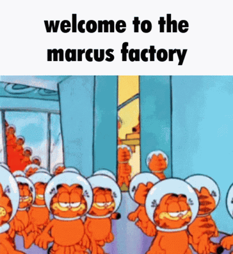 Marcus Garfield GIF