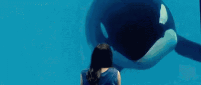 Marion Cotillard GIF