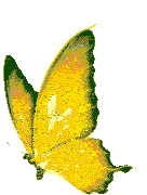 Mariposa Gif Sticker