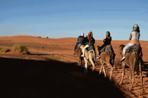 Marocco Saydy Rafael Journey GIF