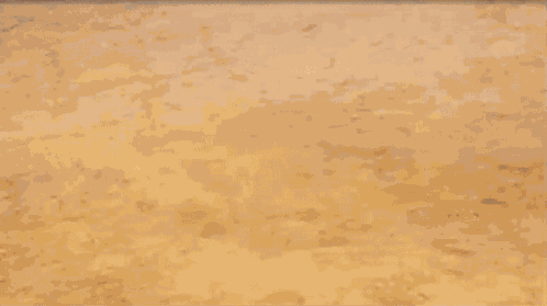 Marowak Alolan Form GIF