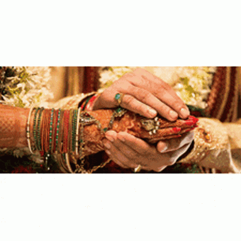 Marriage Certificate Marriage Certificate Mumbai GIF
