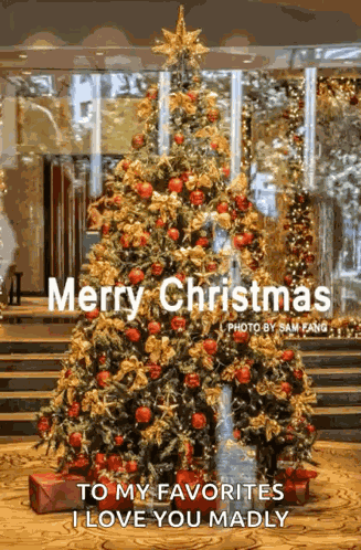 Marrychristmas Xmas GIF