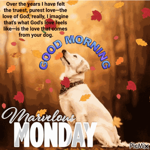 Marvelous Monday GIF