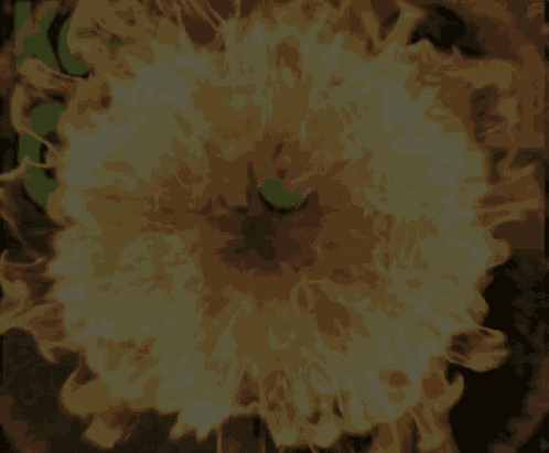 Mathew Patrick Matpat GIF