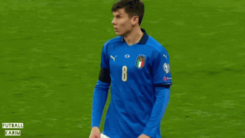 Matteo Pessina Pessina GIF