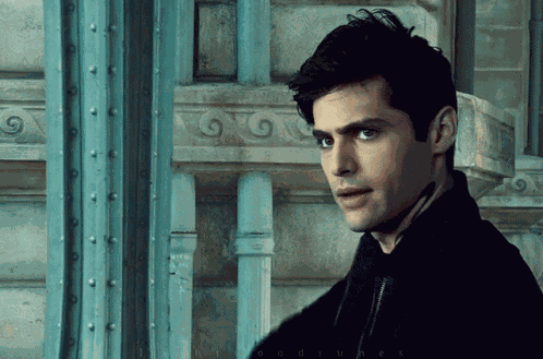 Matthew Daddario Alec Lightwood GIF