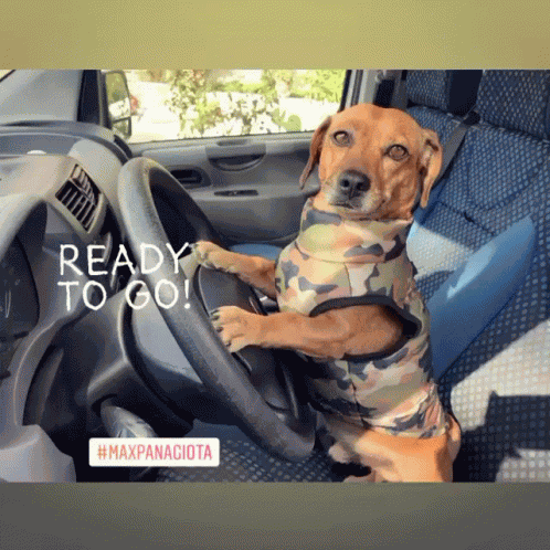 Max Driver GIF