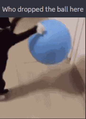 Maxeff Who Dropped The Ball GIF