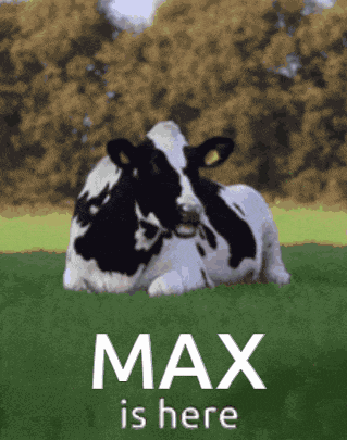 Maxishere Maxvl GIF