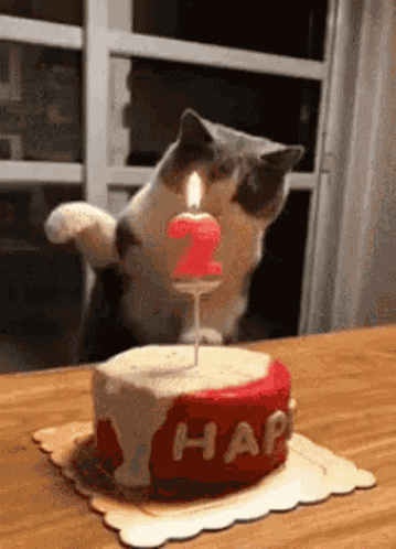May Birthday GIF