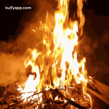 May The Magnificence Of Lohri Festival Season Fill Your Home With Happiness.Gif GIF