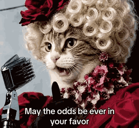 May The Odds Be Ever In Your Favor GIF