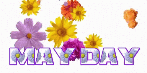 May1 May Day GIF