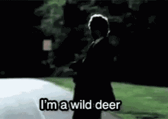 Mayhem Allstate Wild Deer GIF