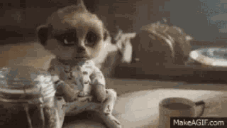 Mayoya GIF