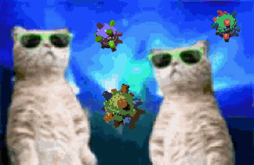 Mcnyale Plongus GIF