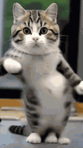 Md001 GIF