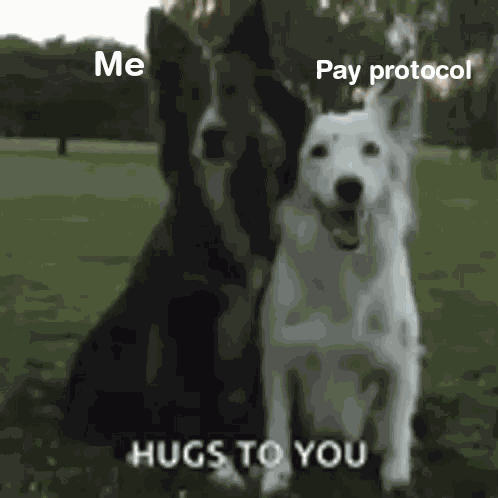 Me And Pay Protocol GIF