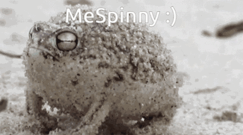 Me Spinny GIF