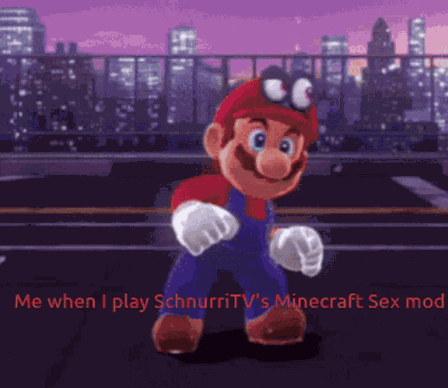 Me When I Minecraft Sex Mod GIF