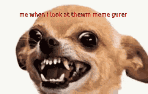 Me When I See Meme GIF