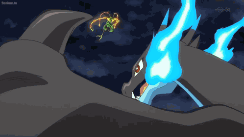 Mega Rayquaza Mega Charizard X GIF