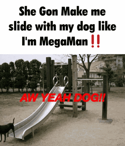 Megaman Slide With My Dog GIF