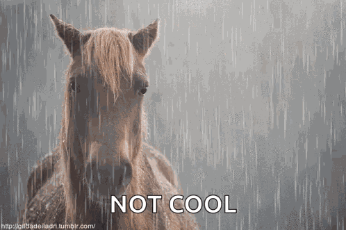 Megosztható Horse GIF