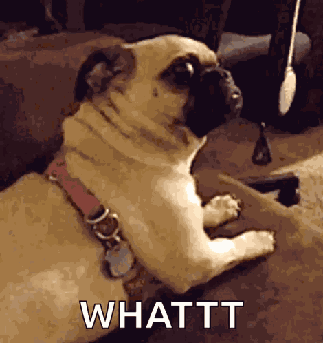Meh What GIF