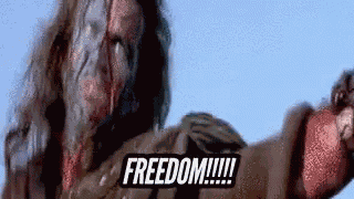 Mel Gibson Freedom GIF