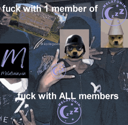 Melatonin Melatoninwin Meme