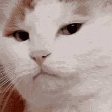 Melirik GIF