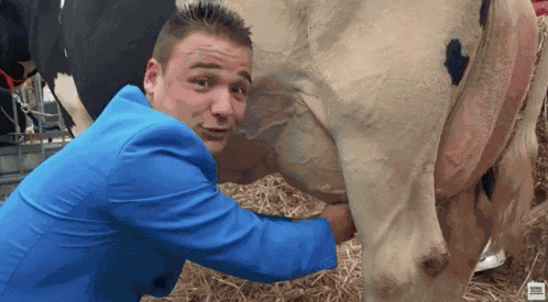 Melken Marco GIF