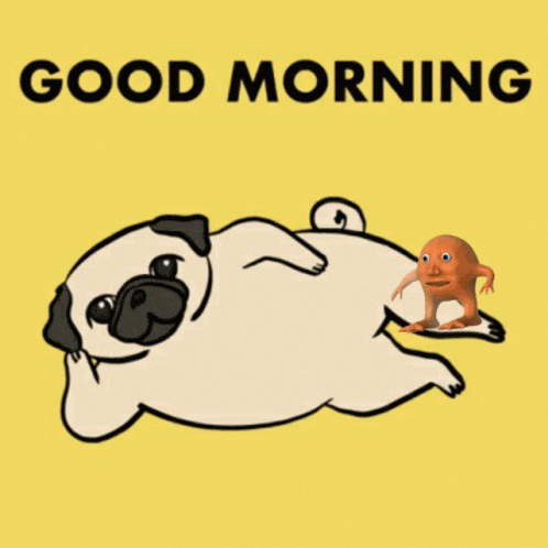 Meme Face Memes2022funny GIF