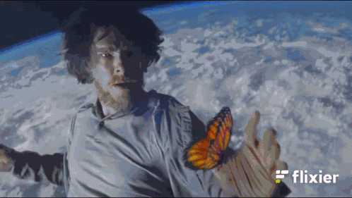 Meme Flying GIF