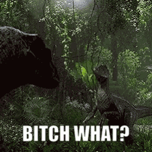 Meme Gif GIF