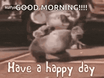 Meme Goodmorning GIF