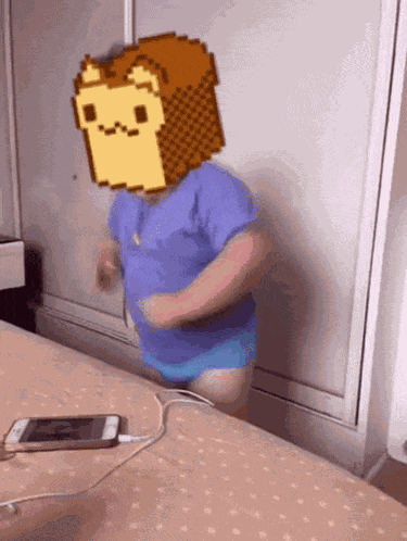 Meme Loafcat GIF